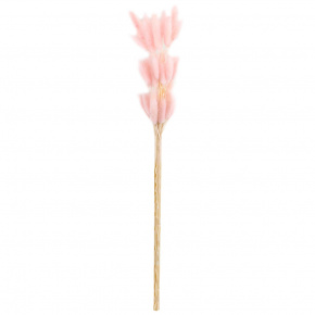 Набор лагуруса 50шт., 65 см, светло-розовый в интернет-магазине флористических аксессуаров Азалия Декор