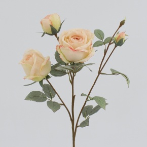 Роза, 65см, персиковый в интернет-магазине флористических аксессуаров Азалия Декор