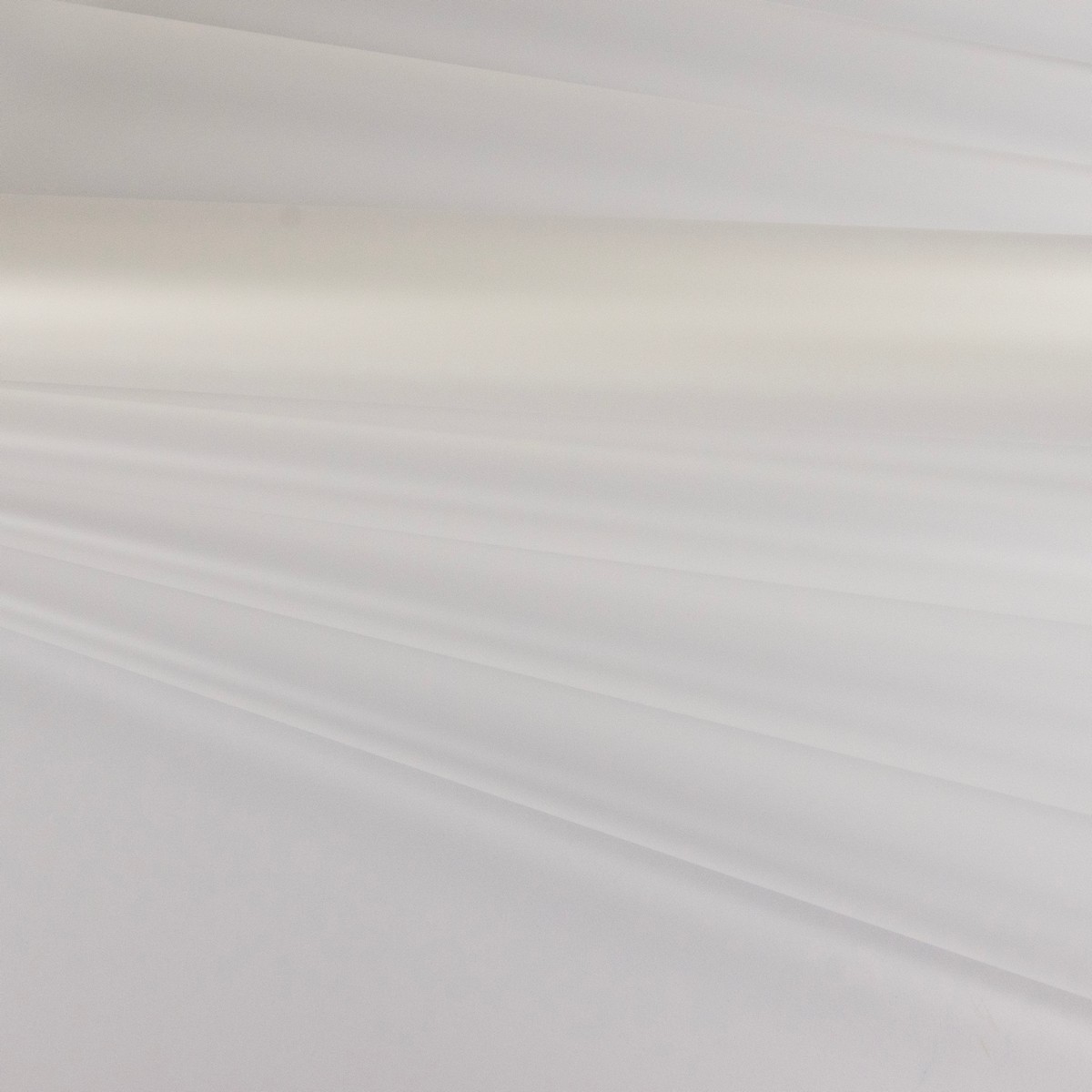 Пленка матовая полупрозрачная 50мкр, 57 см 27 м, прозрачный в интернет-магазине флористических аксессуаров Азалия Декор