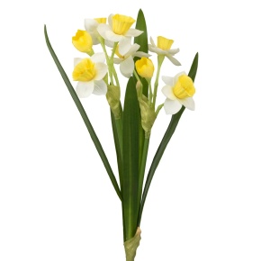 Нарцисс на вставке, 45см, белый в интернет-магазине флористических аксессуаров Азалия Декор