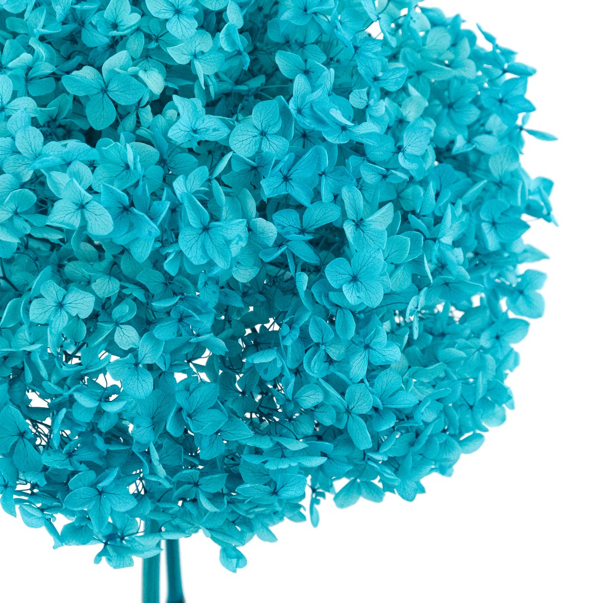 Гортензия, 60-65 см, тиффани в интернет-магазине флористических аксессуаров Азалия Декор