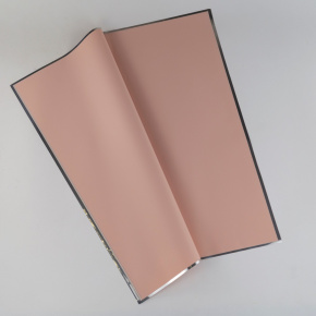 Пленка с каймой Серебро 45мкр, 20 листов, 57х57см, персиковый в интернет-магазине флористических аксессуаров Азалия Декор