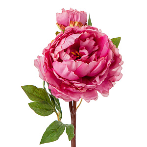 Пион, 54см, темно-розовый в интернет-магазине флористических аксессуаров Азалия Декор