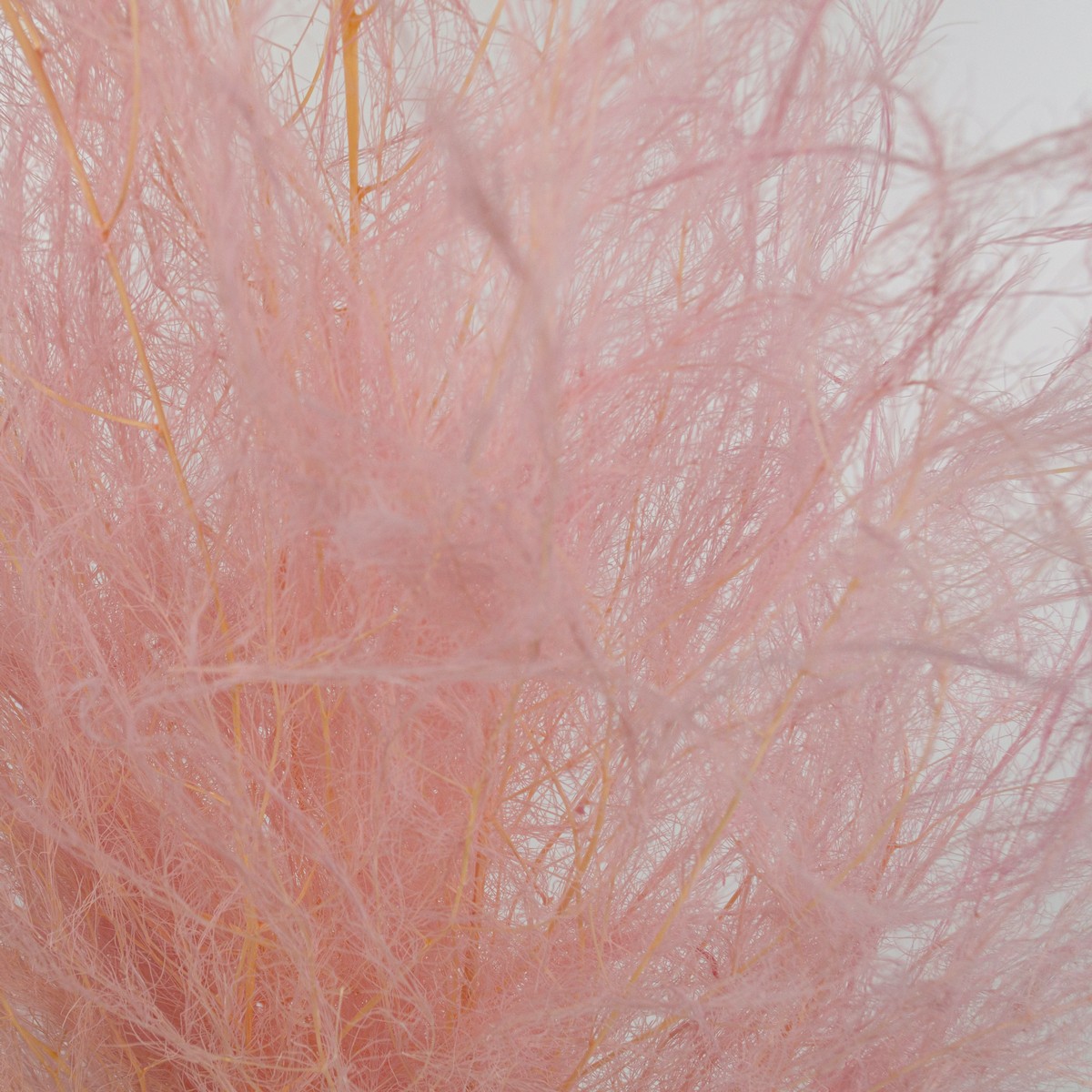 Набор аспарагуса 80гр, 80-100 см, нежно-розовый в интернет-магазине флористических аксессуаров Азалия Декор