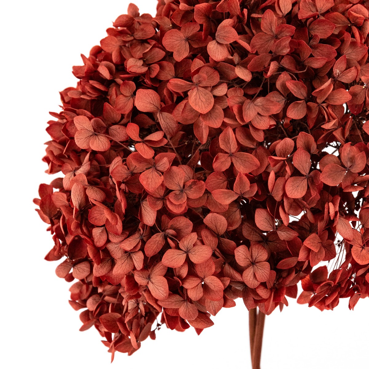 Гортензия, 60-65 см, бордовый в интернет-магазине флористических аксессуаров Азалия Декор