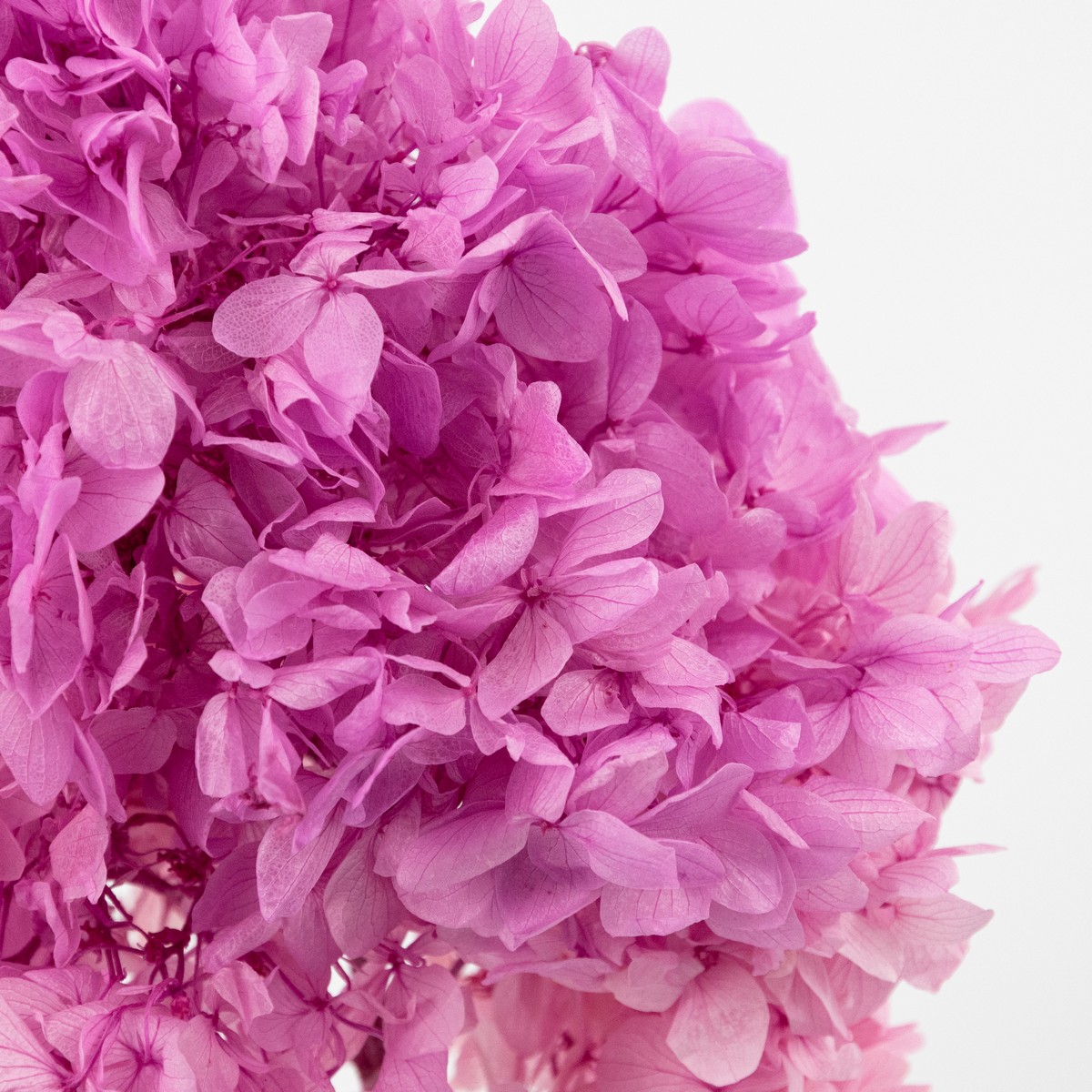 Гортензия метельчатая, 50см, розовый в интернет-магазине флористических аксессуаров Азалия Декор