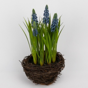 Мускари в кашпо, 12х12х27см, синий в интернет-магазине флористических аксессуаров Азалия Декор