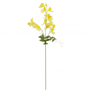 Душистый горошек, 76см, желтый в интернет-магазине флористических аксессуаров Азалия Декор