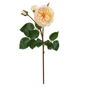 Роза, 55см, кремовый в интернет-магазине флористических аксессуаров Азалия Декор