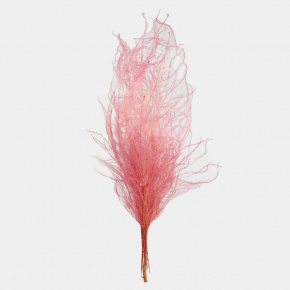 Набор аспарагуса 80гр, 80-100 см, светло-розовый в интернет-магазине флористических аксессуаров Азалия Декор