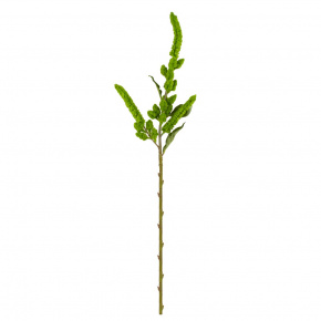 Амарант, 85см, зеленый в интернет-магазине флористических аксессуаров Азалия Декор