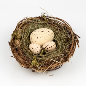 Гнездо с яйцами, D14см, натуральный в интернет-магазине флористических аксессуаров Азалия Декор