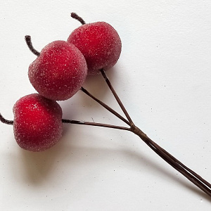 Набор яблок засахаренных на вставках 3шт., D4,5x4xL15см, красный в интернет-магазине флористических аксессуаров Азалия Декор