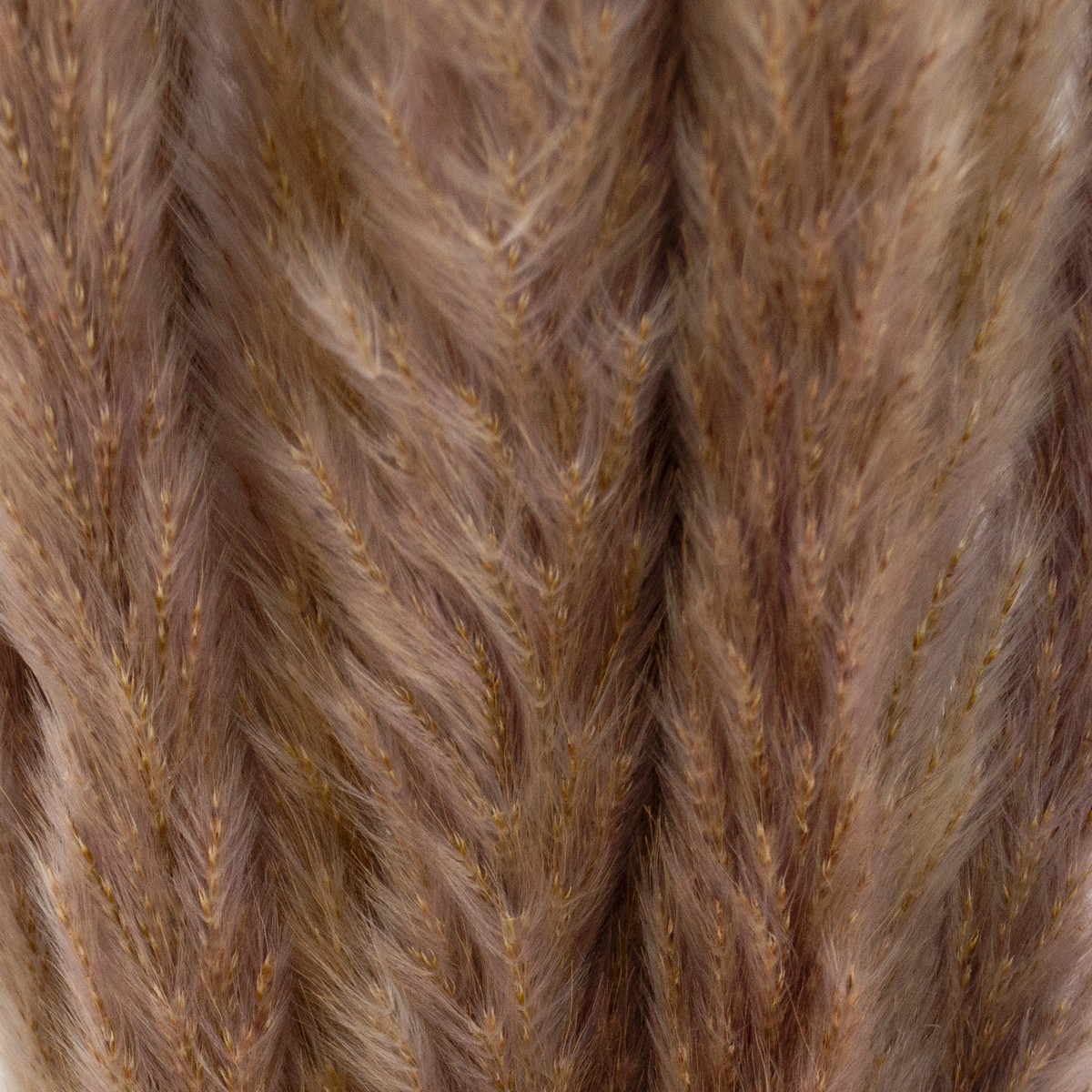 Набор пампасной травы мини 15шт., 60-70 см, натуральный в интернет-магазине флористических аксессуаров Азалия Декор