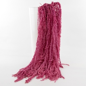 Набор Амарантуса 5шт., 100 см, розовый в интернет-магазине флористических аксессуаров Азалия Декор