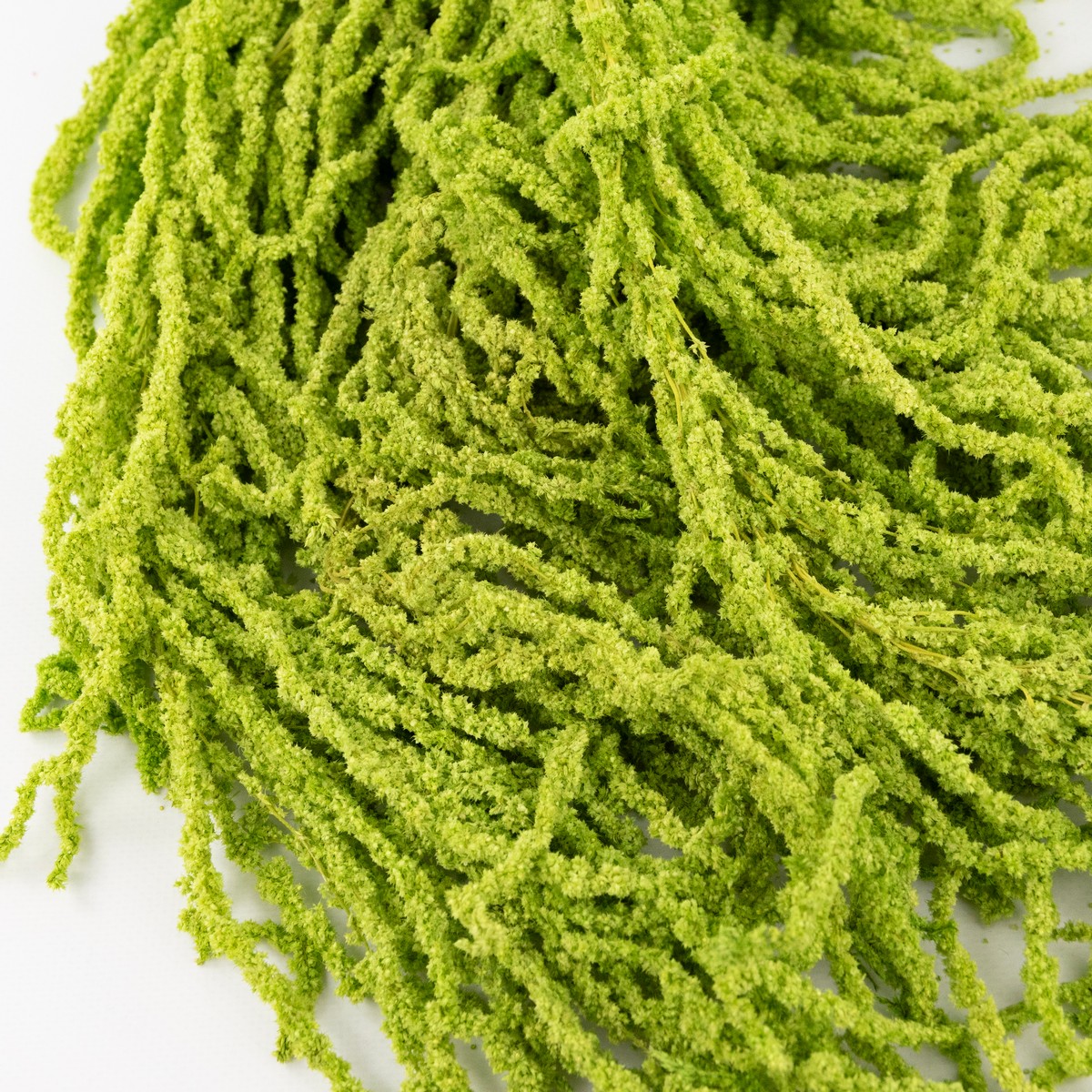 Набор Амарантуса 5шт., 100 см, темно-зеленый в интернет-магазине флористических аксессуаров Азалия Декор