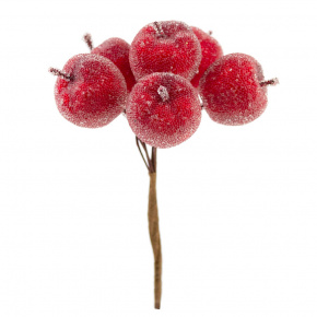 Набор яблок засахаренных на вставках 6шт., D3xL12см, красный в интернет-магазине флористических аксессуаров Азалия Декор