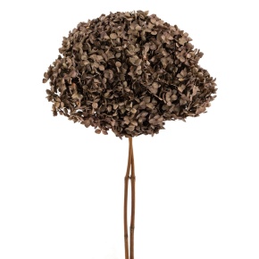 Гортензия, 60-65 см, коричневый в интернет-магазине флористических аксессуаров Азалия Декор