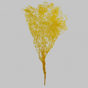 Набор Гипсофилы 50гр, 60 см, желтый в интернет-магазине флористических аксессуаров Азалия Декор