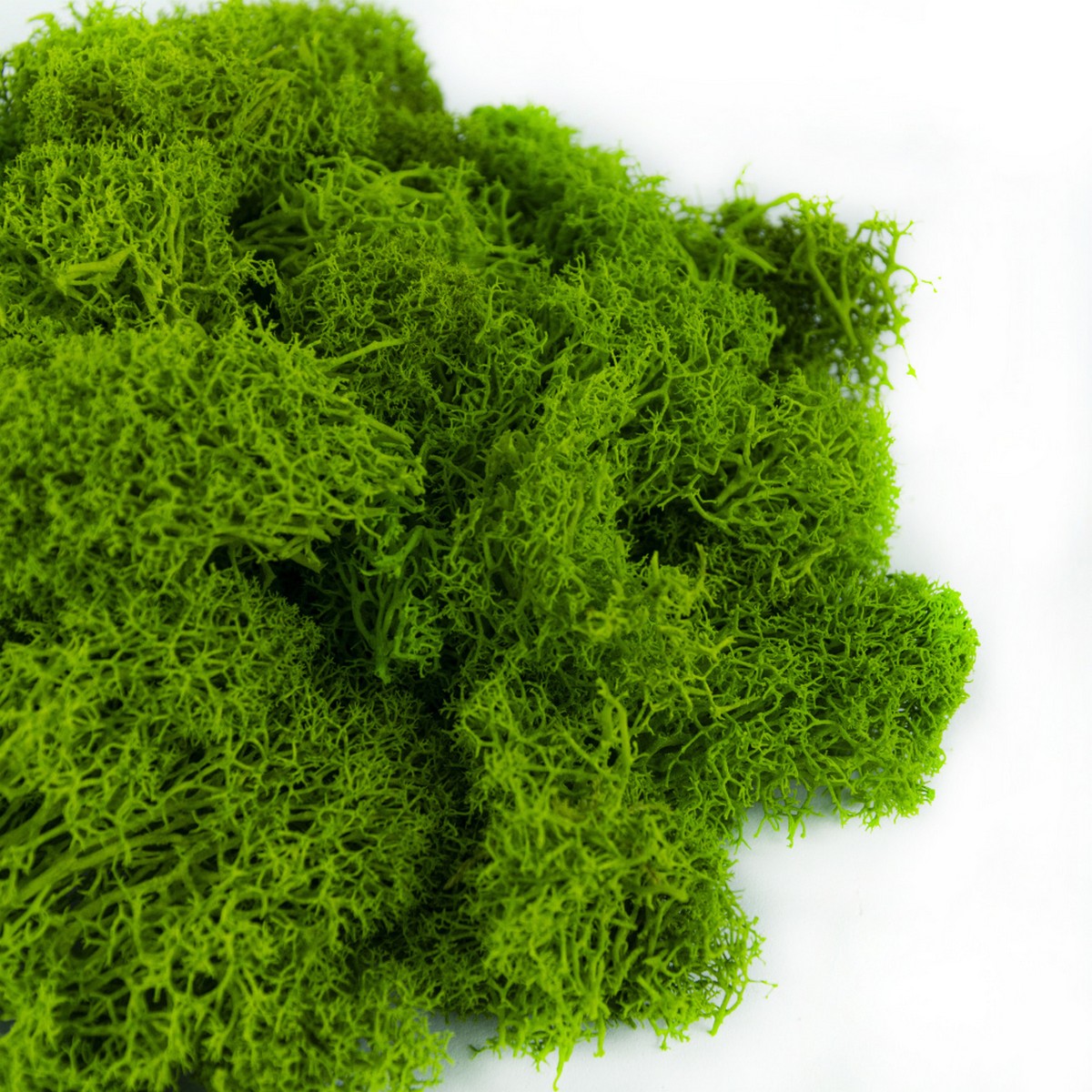 Мох ягель 400гр., лайм в интернет-магазине флористических аксессуаров Азалия Декор