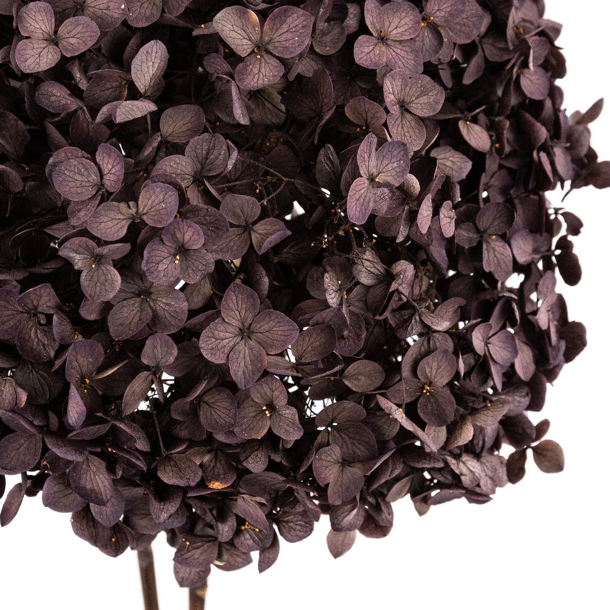 Гортензия, 60-65 см, темно-лиловый в интернет-магазине флористических аксессуаров Азалия Декор