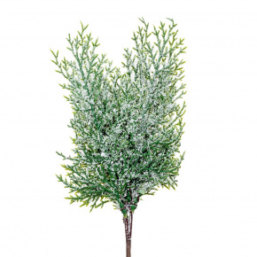 Ветки туи на вставке 6шт., 24см, зеленый в интернет-магазине флористических аксессуаров Азалия Декор