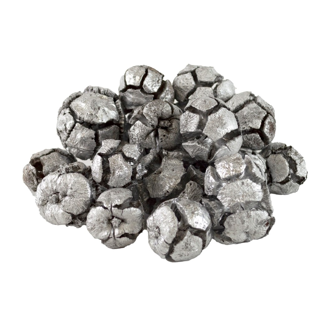 Набор шишек кипариса 30шт., серебряный в интернет-магазине флористических аксессуаров Азалия Декор