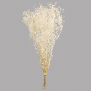 Набор Гипсофилы 50гр, 60 см, белый в интернет-магазине флористических аксессуаров Азалия Декор