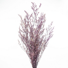 Набор Лимониума 100 гр, 70 см, сиреневый в интернет-магазине флористических аксессуаров Азалия Декор