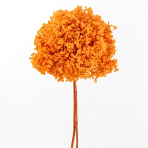 Гортензия, 60-65 см, оранжевый в интернет-магазине флористических аксессуаров Азалия Декор