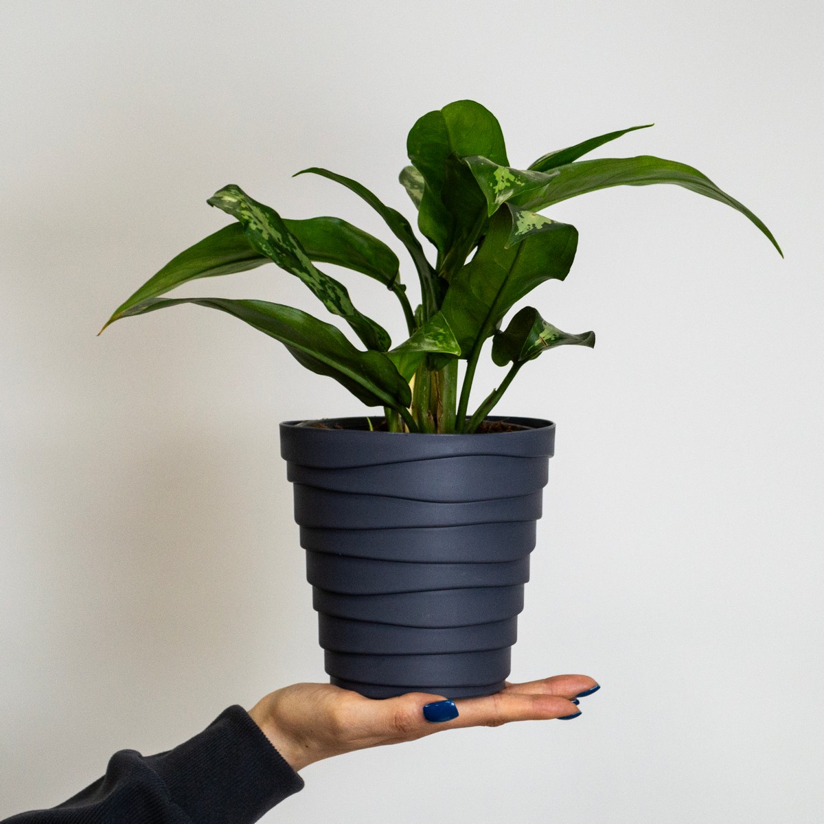 Кашпо Бархан (пластик), D14,5xH14,5см, 1,4л, антрацитовый в интернет-магазине флористических аксессуаров Азалия Декор