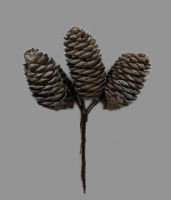 Набор шишек заснеженных на вставках 6шт., H13см, коричневый в интернет-магазине флористических аксессуаров Азалия Декор