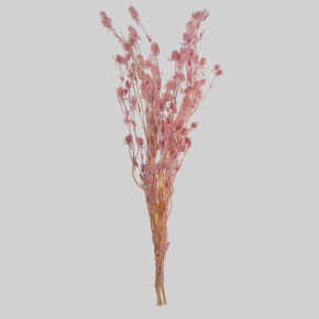 Набор эрингиума 80гр, 70 см, светло-розовый в интернет-магазине флористических аксессуаров Азалия Декор