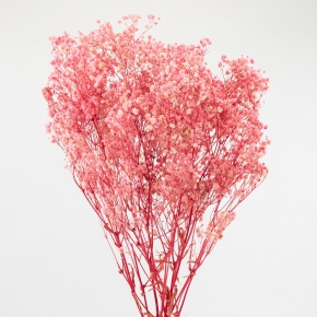 Набор Гипсофилы 120 гр, 75 см, розовый в интернет-магазине флористических аксессуаров Азалия Декор