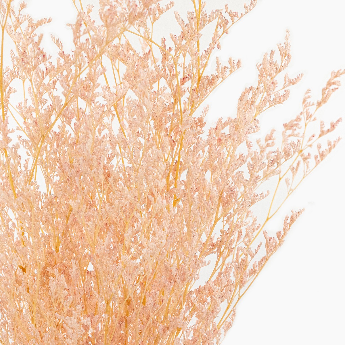 Набор Лимониума 100 гр, 70 см, светло-розовый в интернет-магазине флористических аксессуаров Азалия Декор