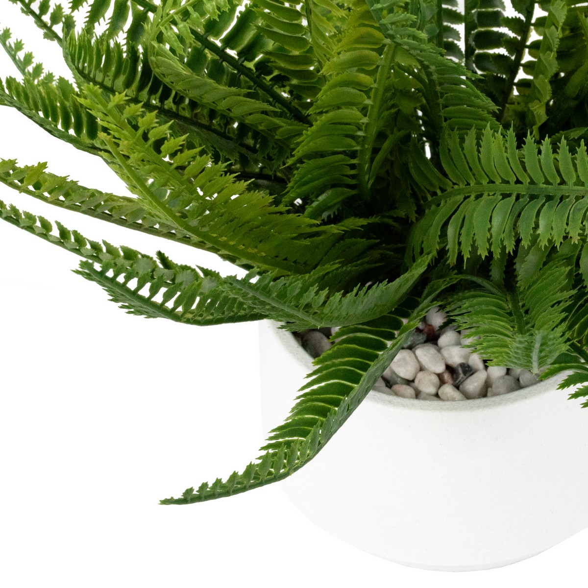 Папоротник в кашпо, 32см, зеленый в интернет-магазине флористических аксессуаров Азалия Декор