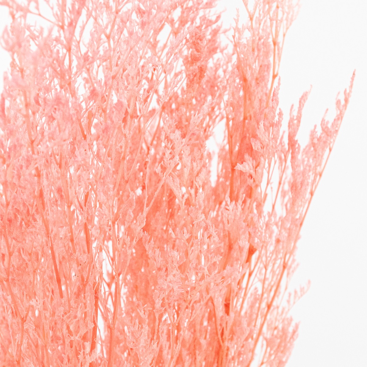 Набор Лимониума 100 гр, 70 см, розовый в интернет-магазине флористических аксессуаров Азалия Декор