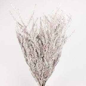 Ель краш,блёстки Юг РФ в интернет-магазине флористических аксессуаров Азалия Декор