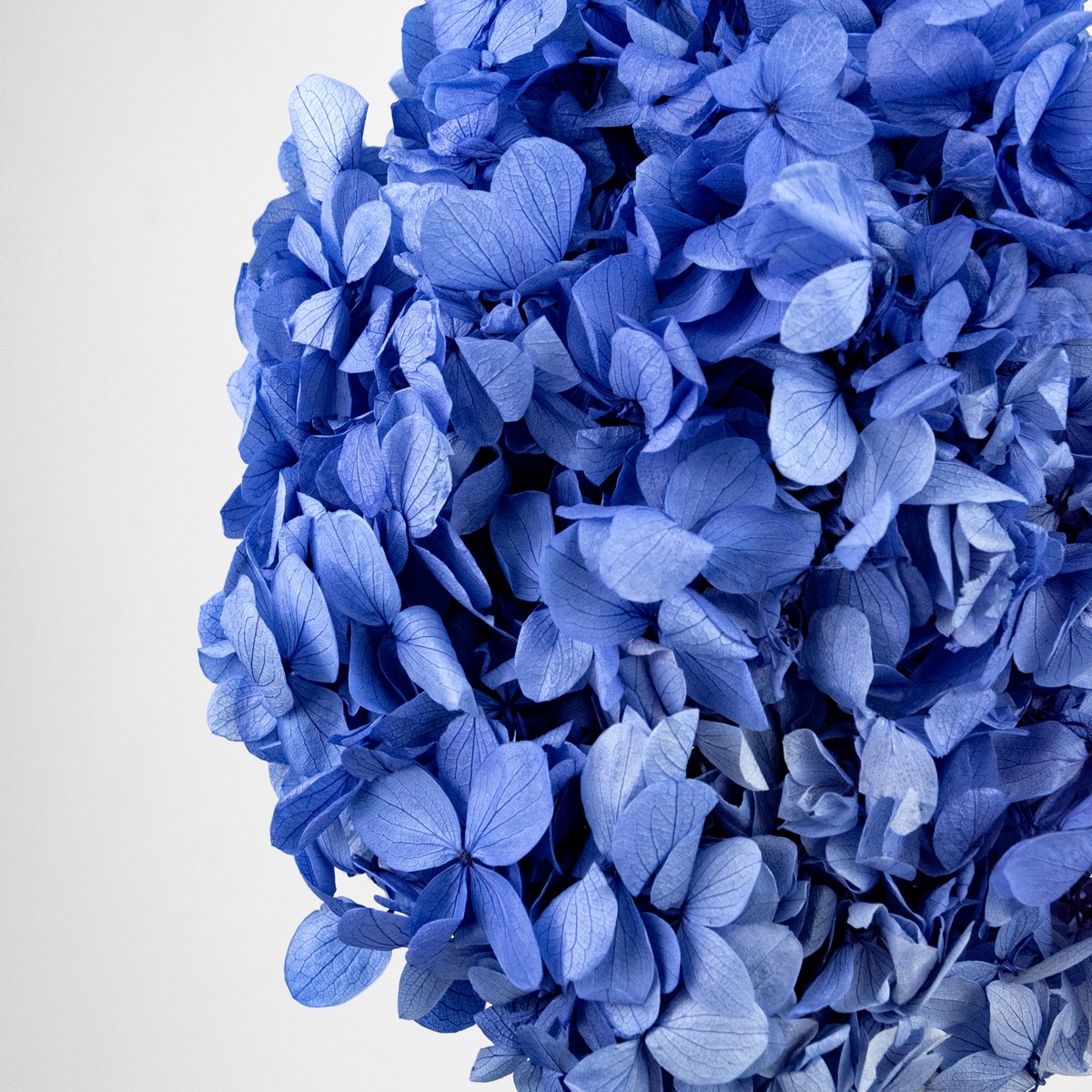 Гортензия метельчатая, 50см, сиреневый в интернет-магазине флористических аксессуаров Азалия Декор