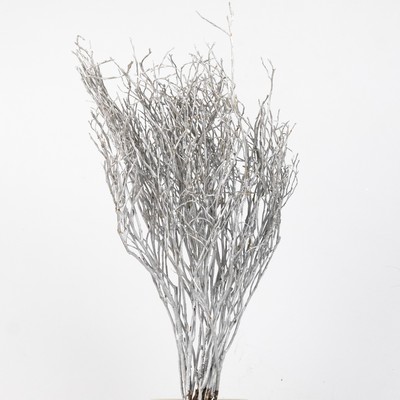 Вациниум краш Юг РФ в интернет-магазине флористических аксессуаров Азалия Декор