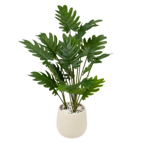 Филодендрон в кашпо, 81см, зеленый в интернет-магазине флористических аксессуаров Азалия Декор