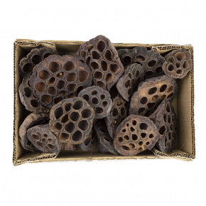 Набор сухоцветов Лотос, 18шт, 4-10см, натуральный в интернет-магазине флористических аксессуаров Азалия Декор