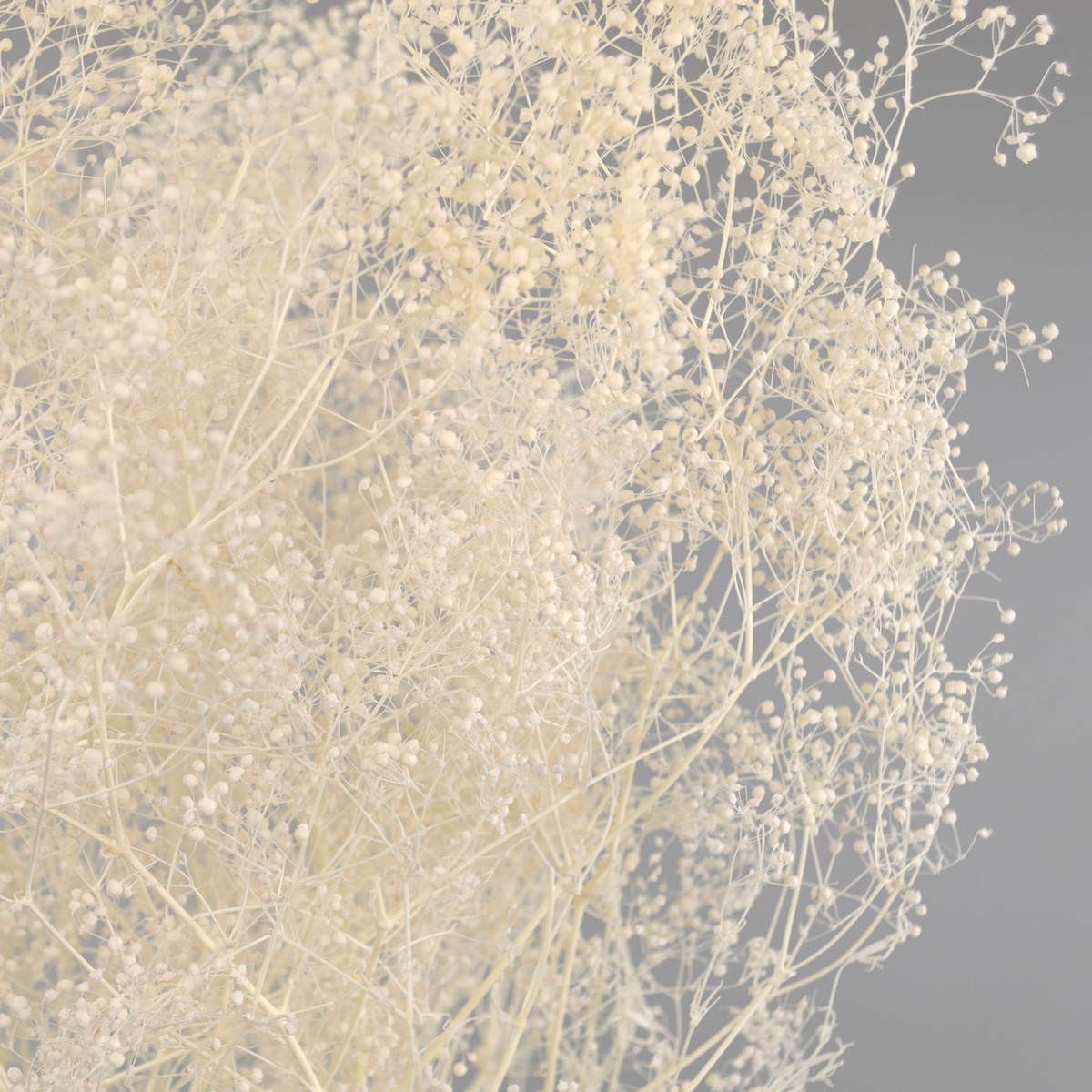 Набор Гипсофилы 50гр, 60 см, белый в интернет-магазине флористических аксессуаров Азалия Декор