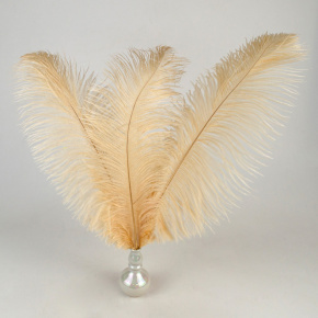 Набор перьев страуса 3шт., 45-50см, кремовый в интернет-магазине флористических аксессуаров Азалия Декор