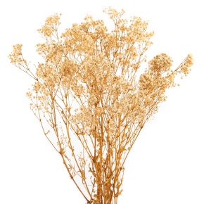 Набор Гипсофилы 120 гр, 75 см, белый в интернет-магазине флористических аксессуаров Азалия Декор