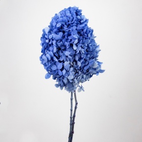 Гортензия метельчатая, 50см, сиреневый в интернет-магазине флористических аксессуаров Азалия Декор