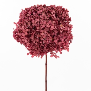 Гортензия, 60-65 см, фуксия в интернет-магазине флористических аксессуаров Азалия Декор