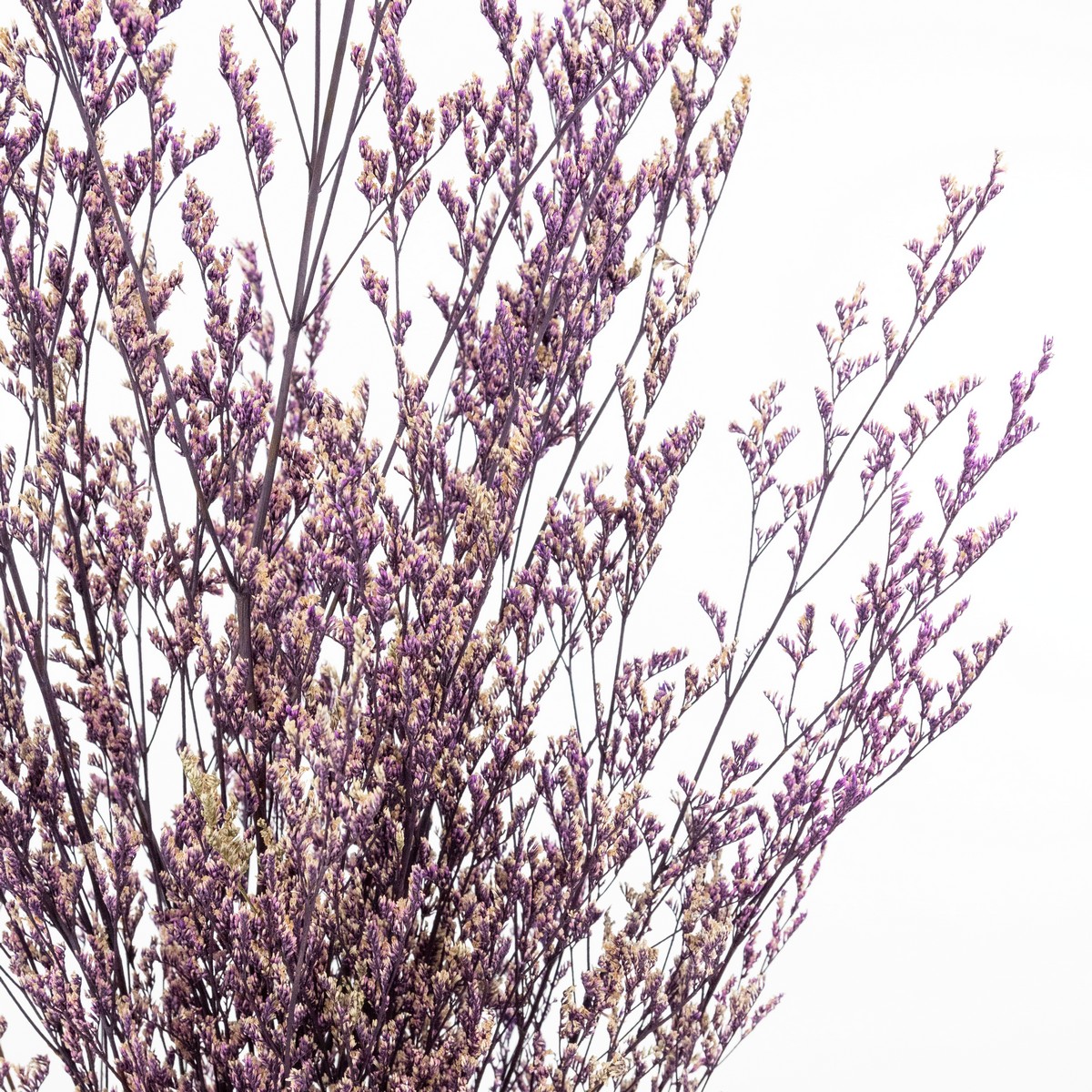 Набор Лимониума 100 гр, 70 см, сиреневый в интернет-магазине флористических аксессуаров Азалия Декор