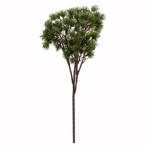 Ветка сосновая, 35см, зеленый в интернет-магазине флористических аксессуаров Азалия Декор