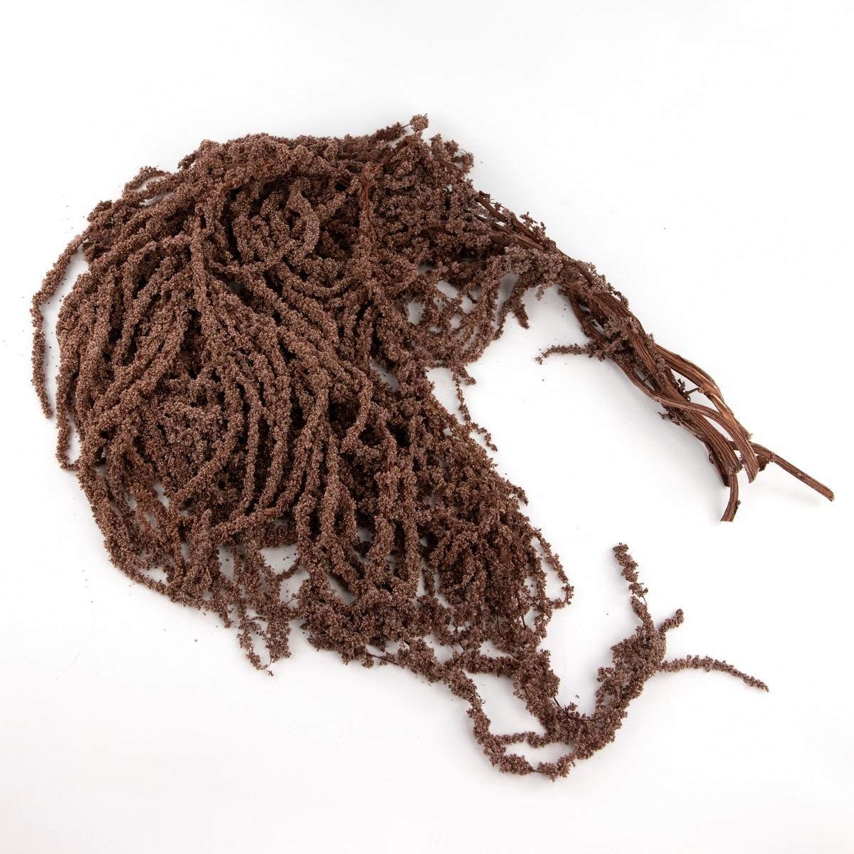 Набор Амарантуса 5шт., 100 см, коричневый в интернет-магазине флористических аксессуаров Азалия Декор